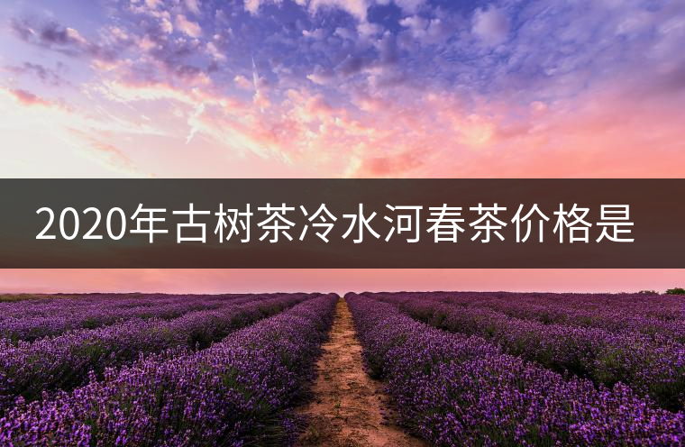 2020年古樹茶冷水河春茶價格是多少？