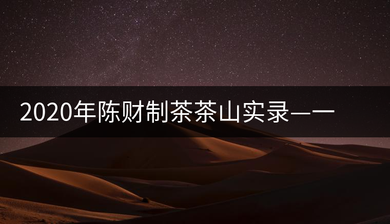 2020年陳財制茶茶山實錄—一手提7山，感受小產(chǎn)區(qū)的奧秘