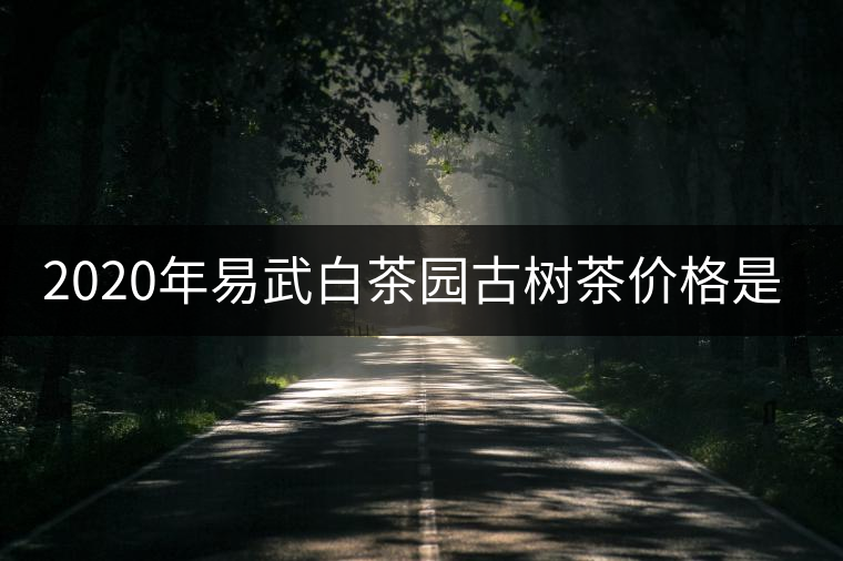2020年易武白茶園古樹茶價(jià)格是多少？