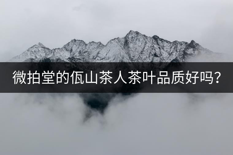 微拍堂的佤山茶人茶葉品質(zhì)好嗎？