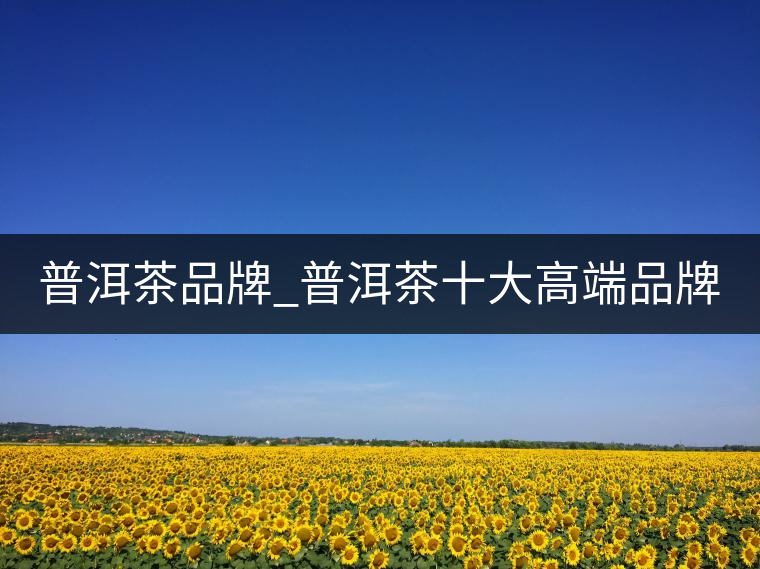 普洱茶品牌_普洱茶十大高端品牌_哪個牌子好？
