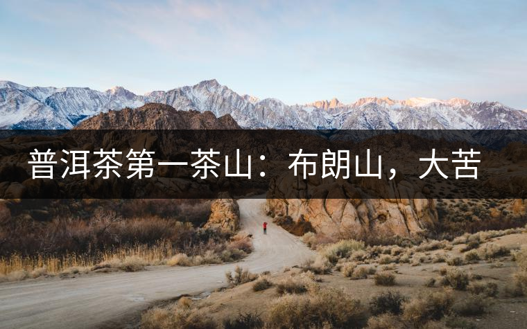 普洱茶第一茶山：布朗山，大苦大甘是它的魂