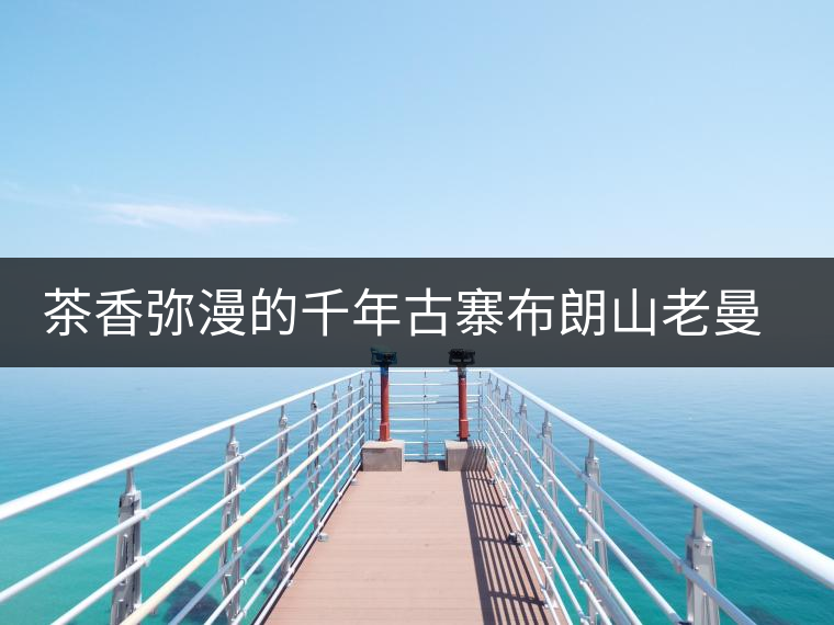 茶香彌漫的千年古寨布朗山老曼峨