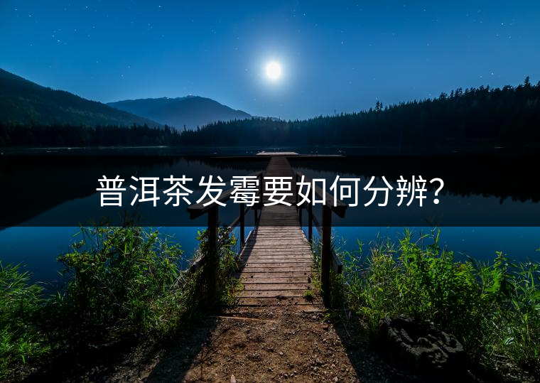 普洱茶發(fā)霉要如何分辨？