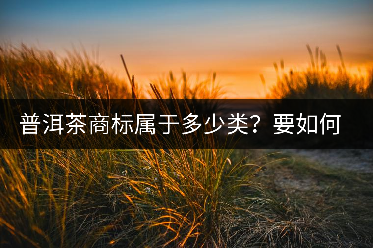 普洱茶商標(biāo)屬于多少類(lèi)？要如何注冊(cè)
