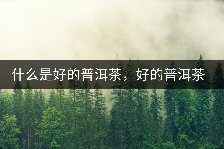 什么是好的普洱茶，好的普洱茶必須要有好的工藝！
