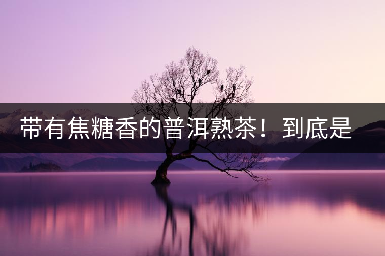 帶有焦糖香的普洱熟茶！到底是好是壞？