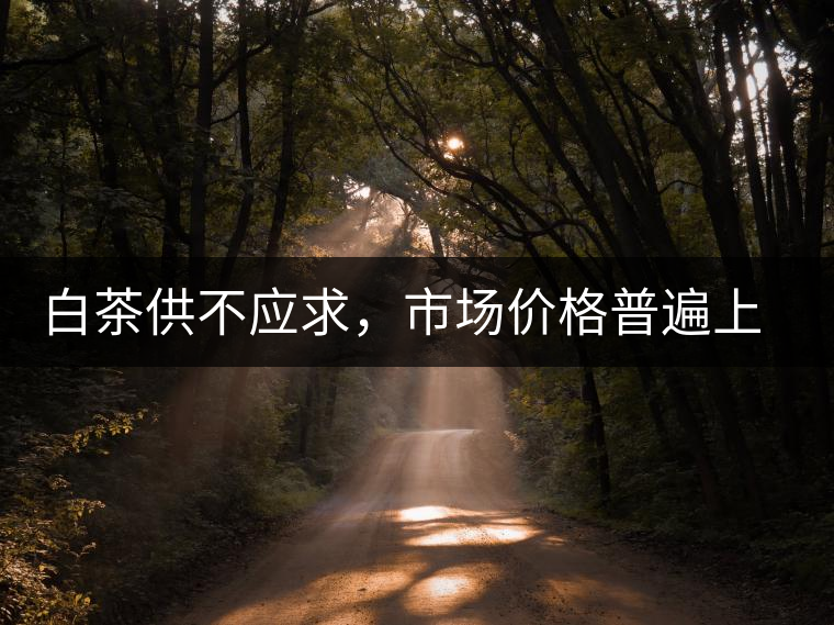 白茶供不應(yīng)求，市場(chǎng)價(jià)格普遍上漲？