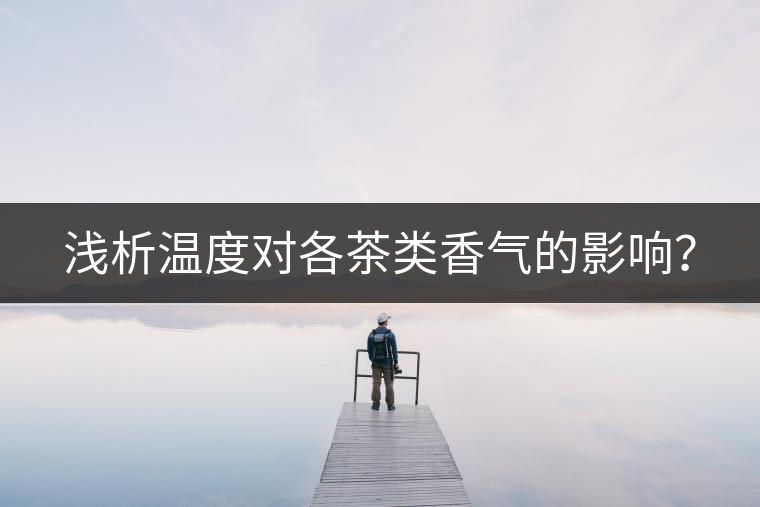 淺析溫度對各茶類香氣的影響？