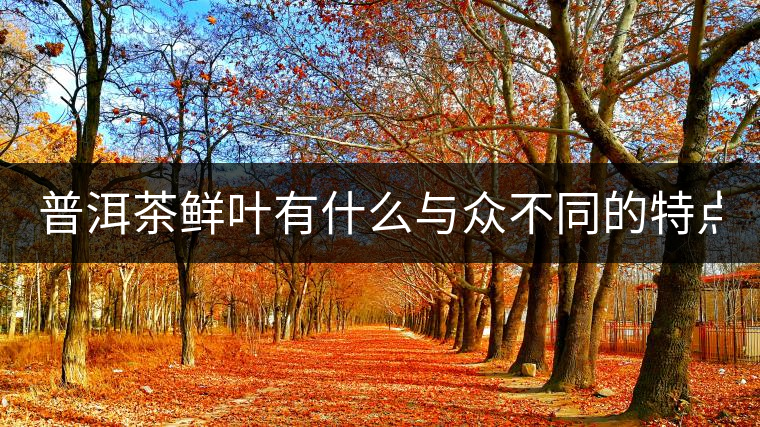 普洱茶鮮葉有什么與眾不同的特點(diǎn)？