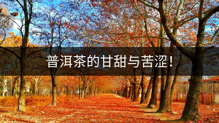 普洱茶的甘甜與苦澀！