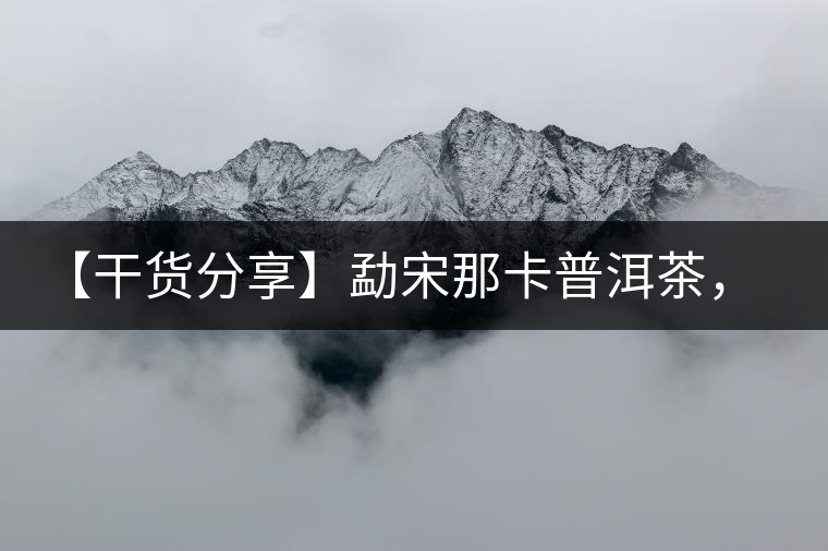 【干貨分享】勐宋那卡普洱茶，不僅僅是小班章那么單純！