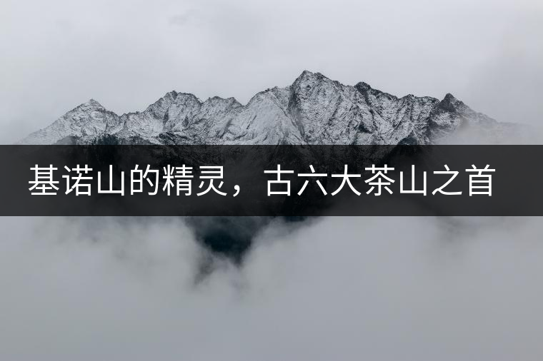 基諾山的精靈，古六大茶山之首武侯遺種攸樂(lè)古樹(shù)茶