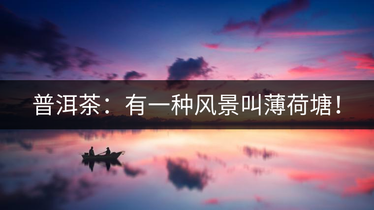 普洱茶：有一種風(fēng)景叫薄荷塘！