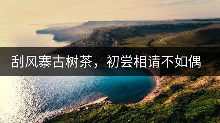刮風(fēng)寨古樹(shù)茶，初嘗相請(qǐng)不如偶遇