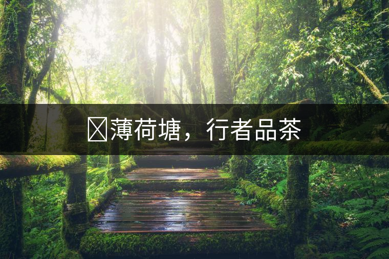 ?薄荷塘，行者品茶