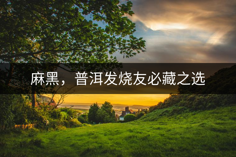 麻黑，普洱發(fā)燒友必藏之選
