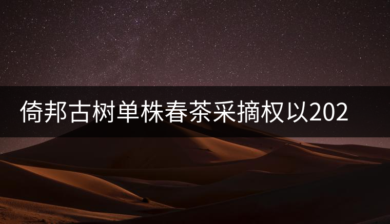 倚邦古樹單株春茶采摘權(quán)以202萬成交