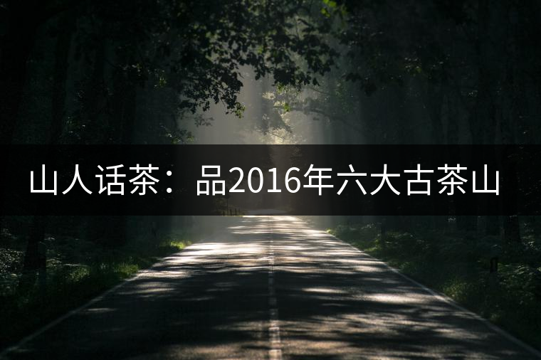 山人話茶：品2016年六大古茶山革登