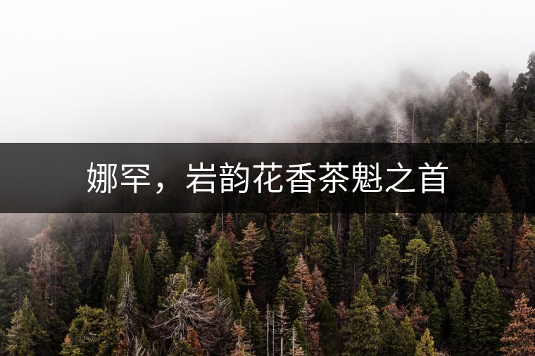 娜罕，巖韻花香茶魁之首