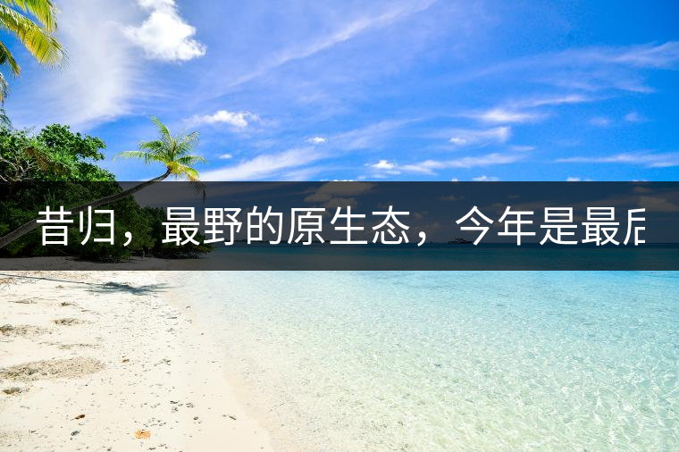 昔歸，最野的原生態(tài)，今年是最后一年了！