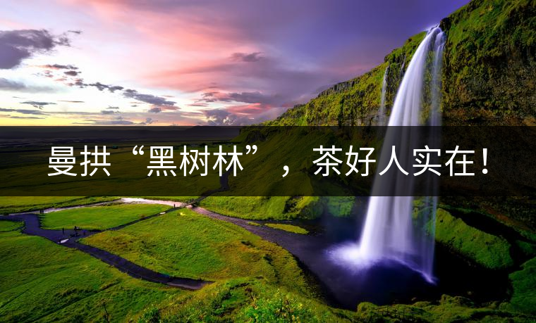曼拱“黑樹林”，茶好人實(shí)在！
