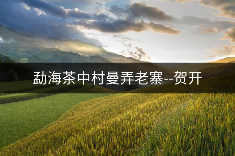 勐海茶中村曼弄老寨--賀開
