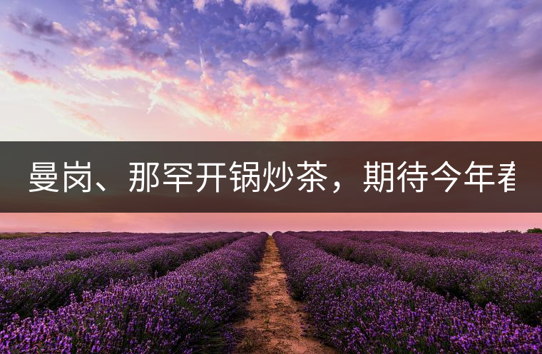 曼崗、那罕開鍋炒茶，期待今年春茶！