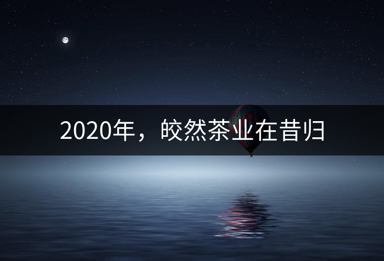 2020年，皎然茶業(yè)在昔歸