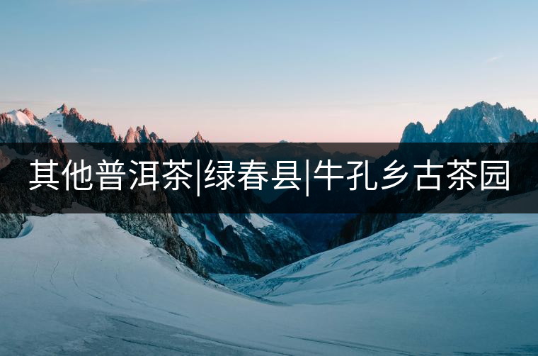 其他普洱茶|綠春縣|?？奏l(xiāng)古茶園