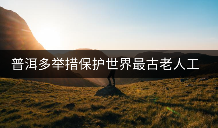 普洱多舉措保護(hù)世界最古老人工茶園