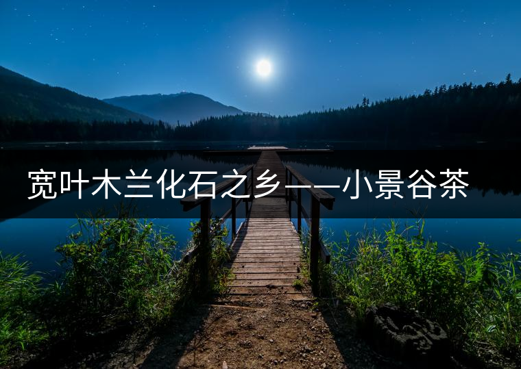 寬葉木蘭化石之鄉(xiāng)——小景谷茶區(qū)