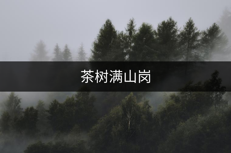 茶樹滿山崗