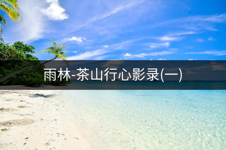 雨林-茶山行心影錄(一)