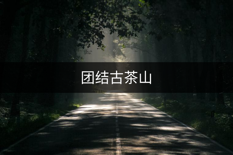 團(tuán)結(jié)古茶山 團(tuán)結(jié)古茶山