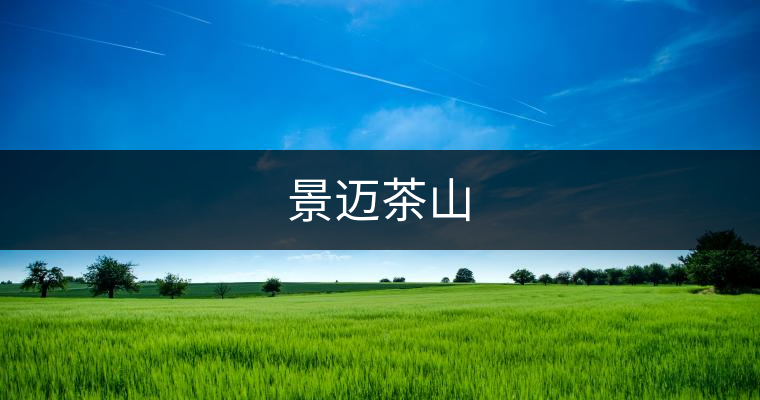 景邁茶山