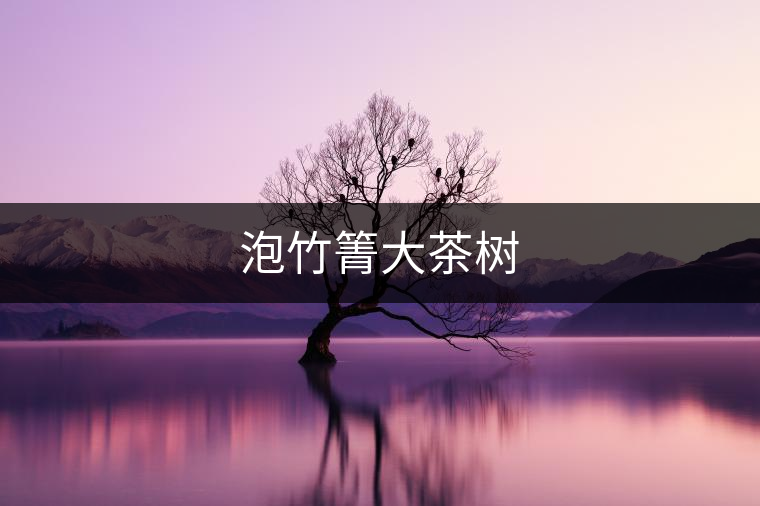 泡竹箐大茶樹(shù)
