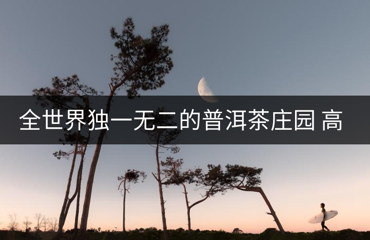 全世界獨(dú)一無二的普洱茶莊園 高大上且美出新高度