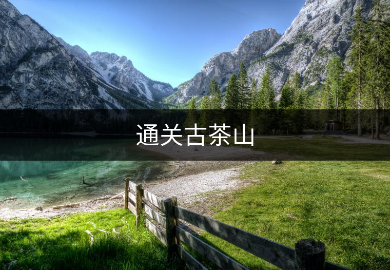 通關(guān)古茶山