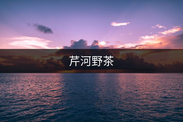 芹河野茶