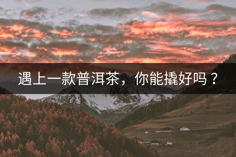 遇上一款普洱茶，你能撬好嗎 ？