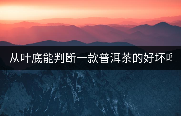 從葉底能判斷一款普洱茶的好壞嗎? 從葉底能判斷一款普洱茶的好壞嗎?