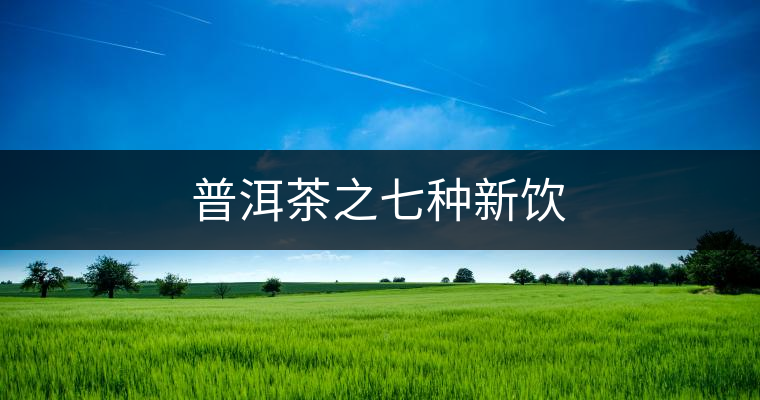 普洱茶之七種新飲