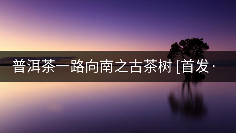 普洱茶一路向南之古茶樹(shù) [首發(fā)·品茗鑒山專欄]