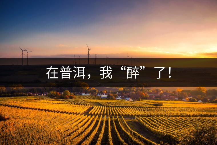 在普洱，我“醉”了！