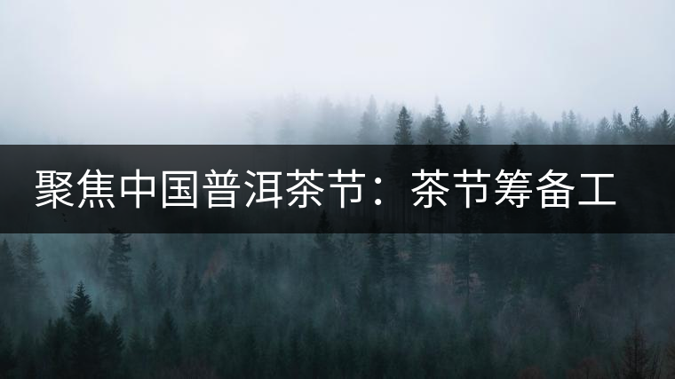 聚焦中國普洱茶節(jié):茶節(jié)籌備工作有序推進 聚焦中國普洱茶節(jié):茶節(jié)籌備工作有序推進