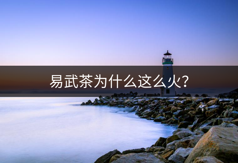 易武茶為什么這么火？