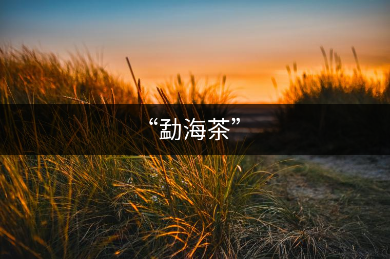 “勐海茶”