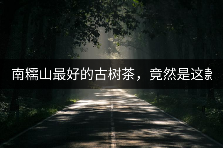 南糯山最好的古樹茶，竟然是這款！