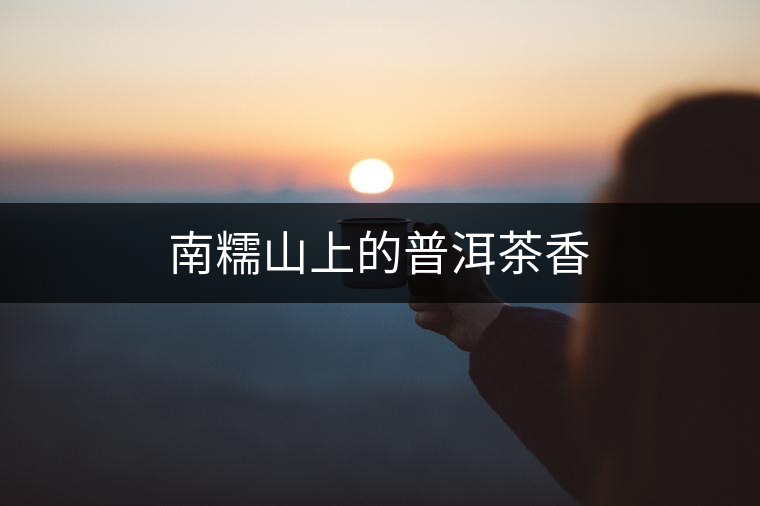 南糯山上的普洱茶香